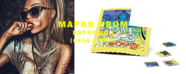 стафф Арсеньев