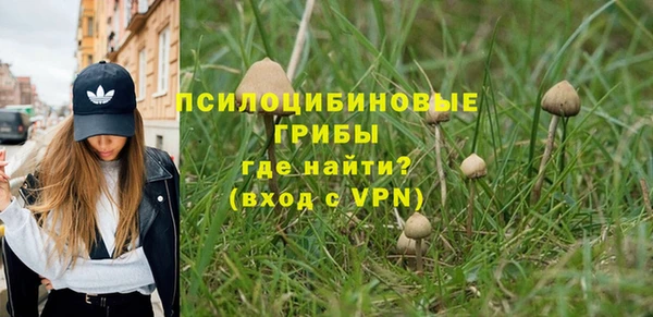 МДПВ Аркадак