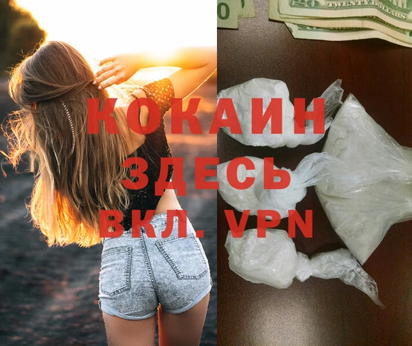 стафф Арсеньев