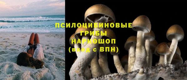 стафф Арсеньев