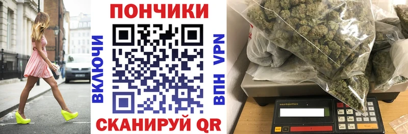 Каннабис индика  дарнет шоп  мега ССЫЛКА  Суздаль 